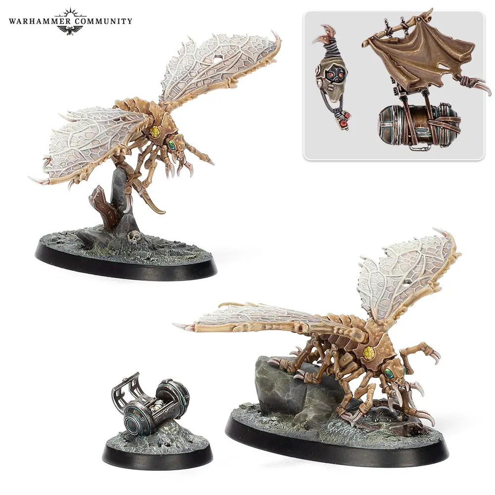sundaypreview-sp7-nec_07-ashwinghelamites-mp6xrrpfye.webp