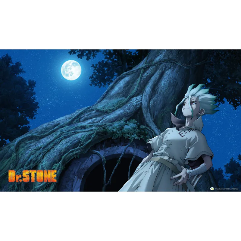 playmat_drstone(l420048)_fullmoon-full.webp