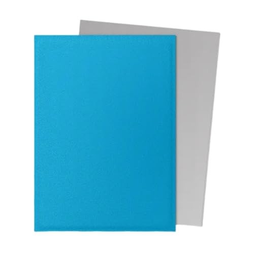 Dragon Shield | Matte Dual Standard Size Card Sleeves | 100ct - Smooth & Tough Premium TCG Sleeves - Compatible with Pokemon, One Piece, and Magic: th