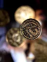 dwellings-of-eldervale-deluxe-upgraded-coins.webp