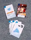 Back Stories 1 - Sola bajo el hielo (3).webp