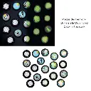 elefanky-juego-de-memoria (1).webp