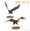 99121499062_GreatEaglesandFledglings1 (1).webp