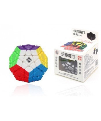 YJ Yuhu Megaminx