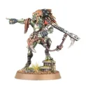 T'Au Empire: Rastromorfo Kroot