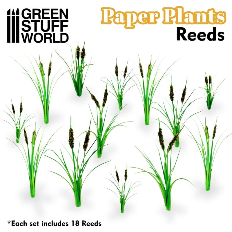 Plantas de Papel - Juncos