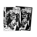 Dragon Shield License WB100 Matte Dual Art - Dark Knight