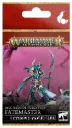 Discípulos de Tzeentch: Señor del Destino