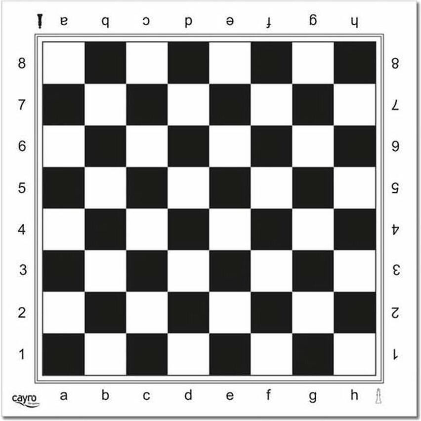 Tablero Ajedrez Profesional Plastico 45X45