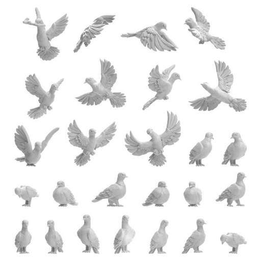 [8435646531427] Palomas 1:48-1:35